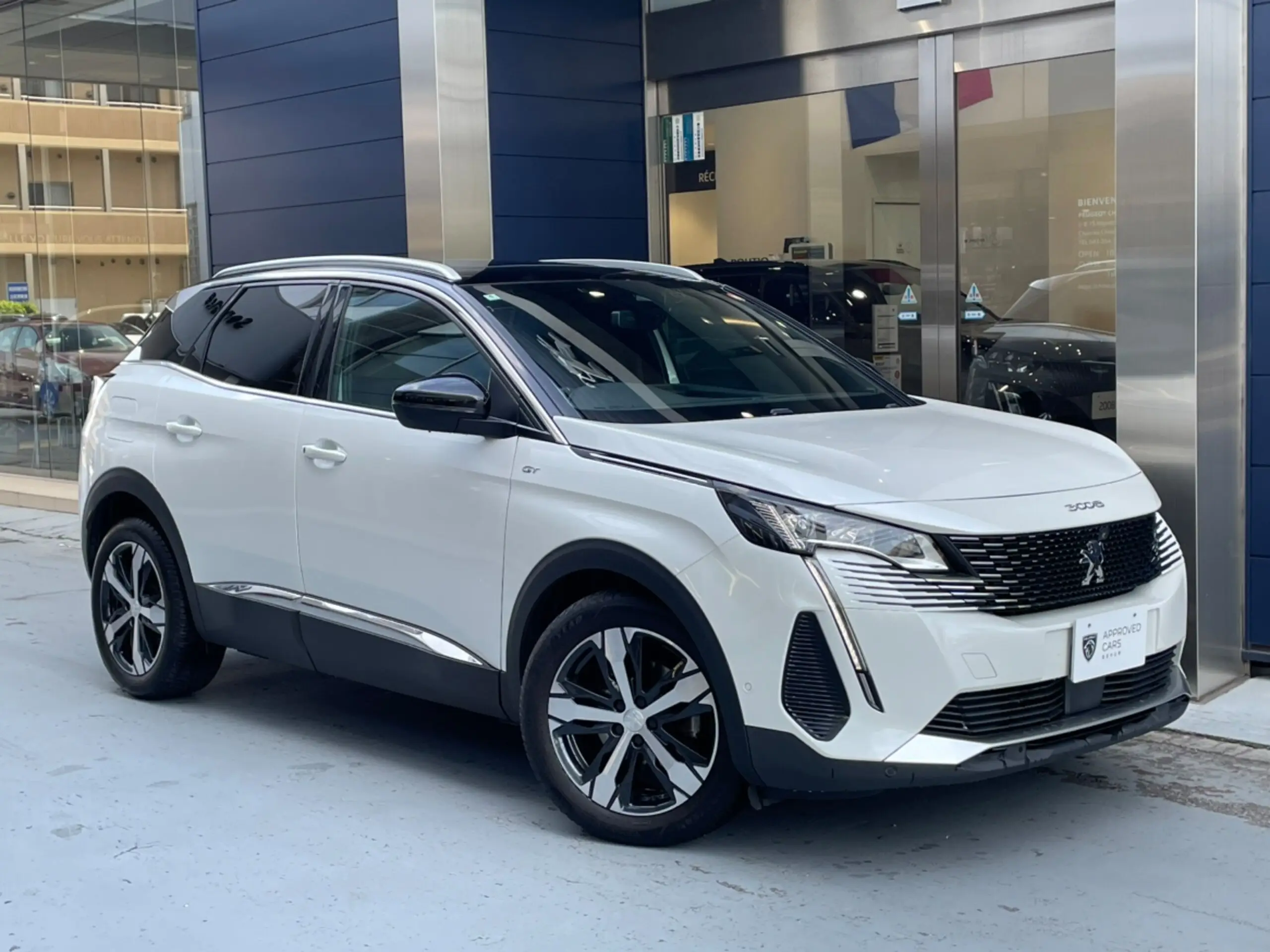 PEUGEOT 3008 GT レザーパッケージ
